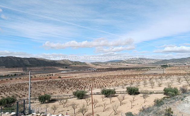 Obra nueva - Casa de campo - Cañada de la Leña