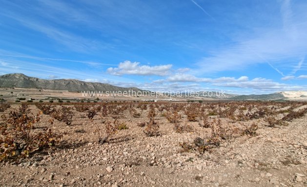 Obra nueva - Casa de campo - Cañada de la Leña