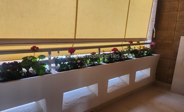 Reventa - Apartment - Petrer - Av. de Madrid