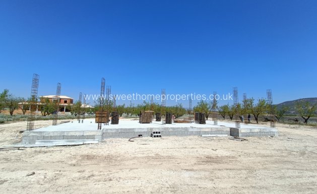 Obra nueva - Casa de campo - Pinoso