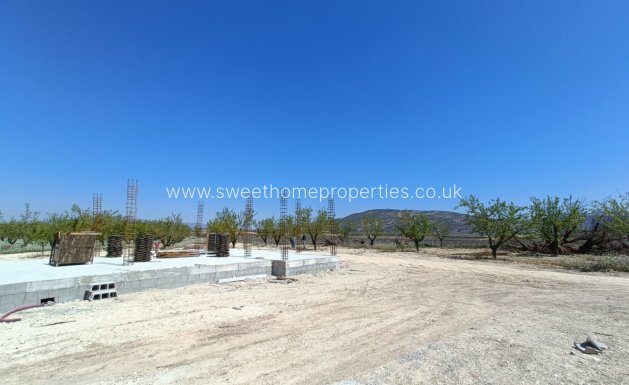 Obra nueva - Casa de campo - Pinoso