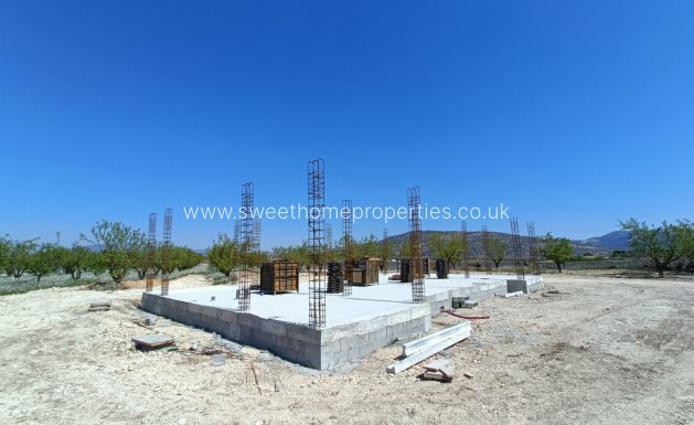 Obra nueva - Casa de campo - Pinoso