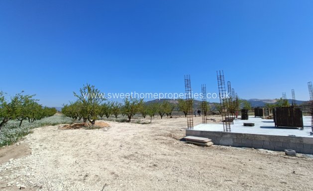 Obra nueva - Casa de campo - Pinoso