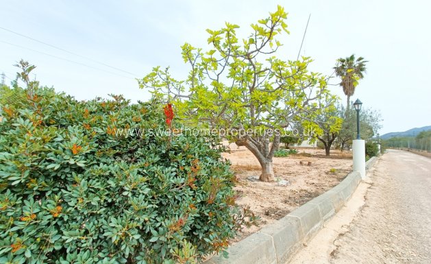 Resale - Country house - Hondon De Los Frailes