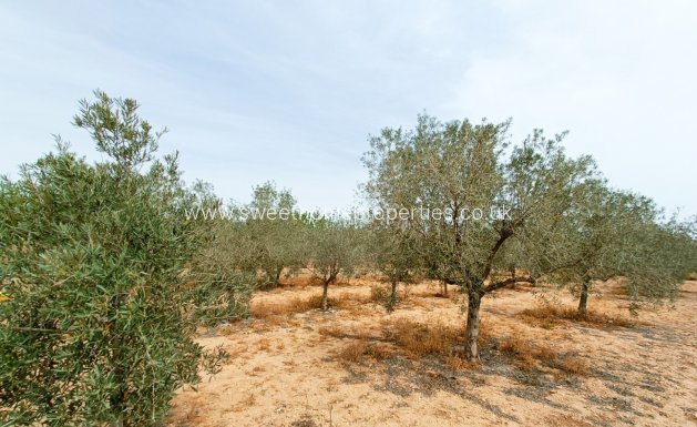 Resale - Country house - Hondon De Los Frailes