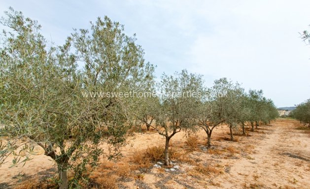 Resale - Country house - Hondon De Los Frailes