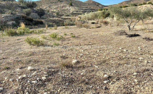 Reventa - Casa de campo - Aspe - El rabosero
