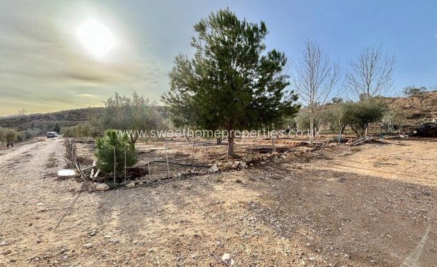 Reventa - Casa de campo - Aspe - El rabosero