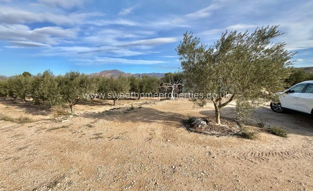 Reventa - Casa de campo - Aspe - El rabosero