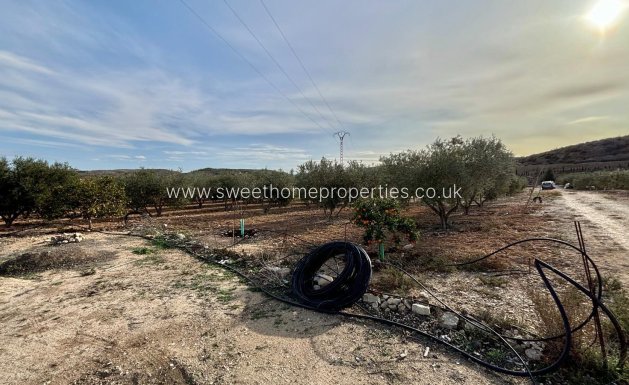 Reventa - Casa de campo - Aspe - El rabosero