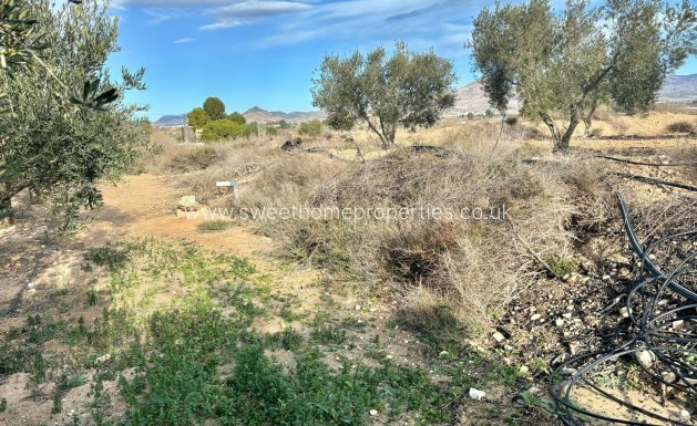 Reventa - Casa de campo - Aspe - El rabosero