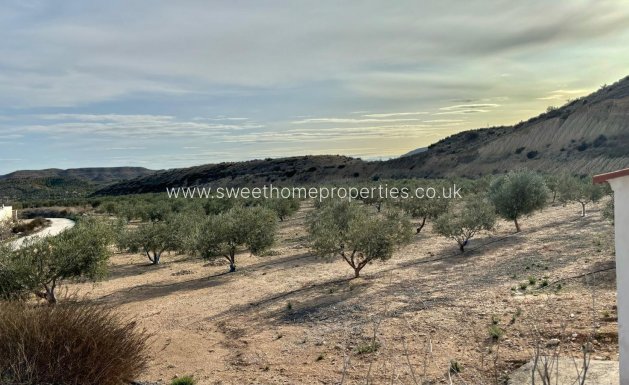 Reventa - Casa de campo - Aspe - El rabosero