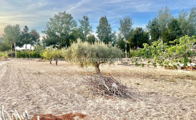 Resale - Villa - Crevillente - BARRANCO SAN CAYETANO