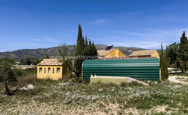 Resale - Country house - Pinoso