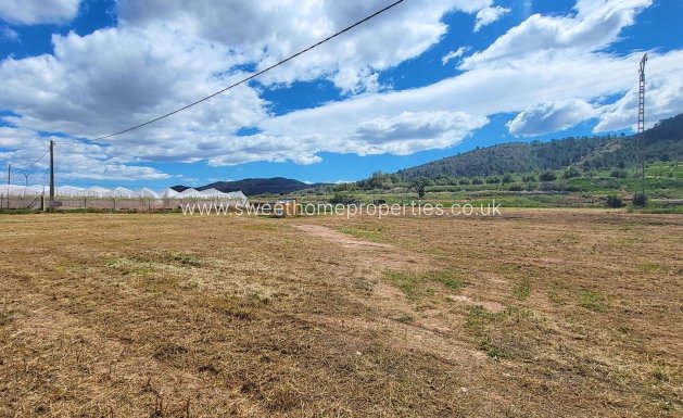 Resale - Country house - La Romana