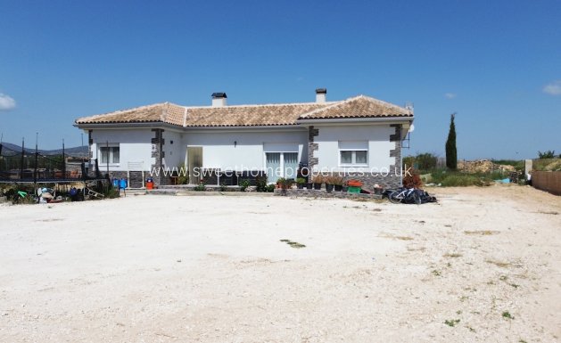 Reventa - Casa de campo - Pinoso