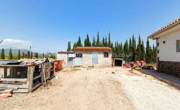 Reventa - Casa de campo - Pinoso