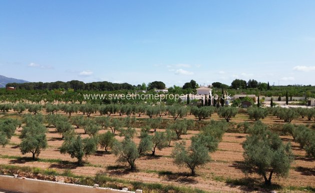 Reventa - Casa de campo - Pinoso