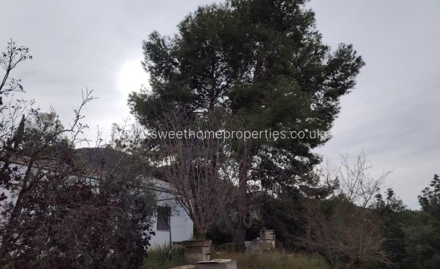 Reventa - Casa de campo - Hondon De Las Nieves - BAYON