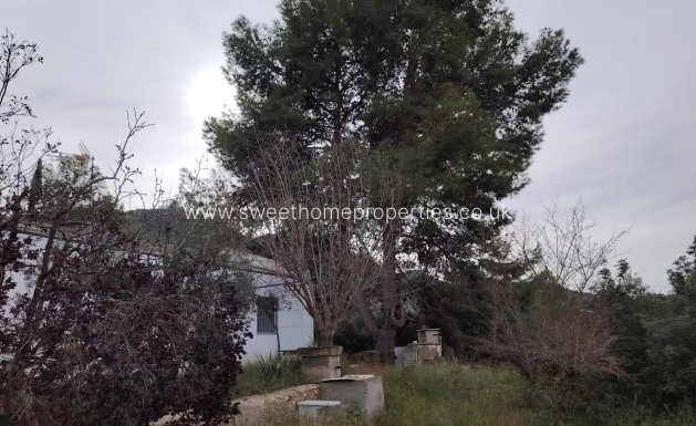 Reventa - Casa de campo - Hondon De Las Nieves - BAYON