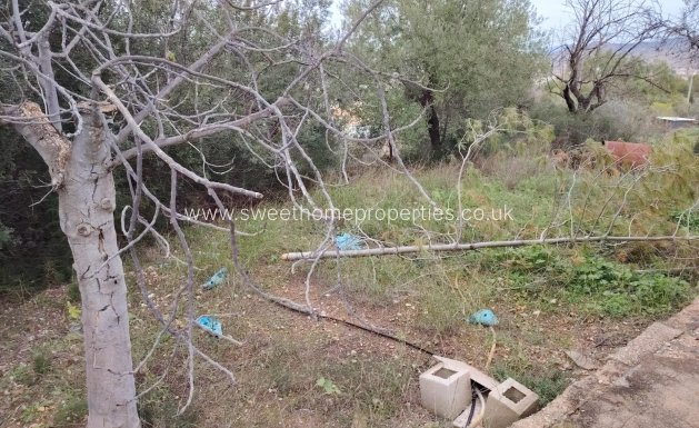 Reventa - Casa de campo - Hondon De Las Nieves - BAYON