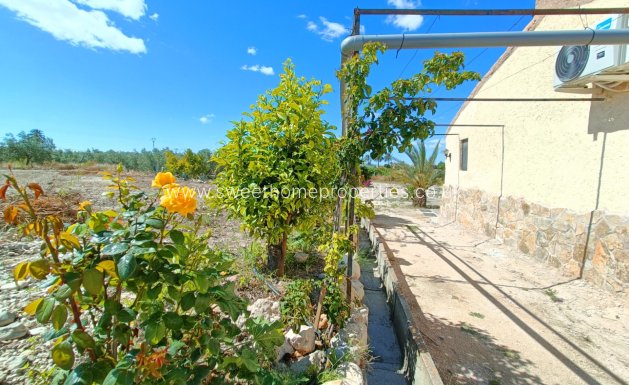 Reventa - Casa de campo - Abanilla