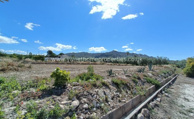 Reventa - Casa de campo - Abanilla