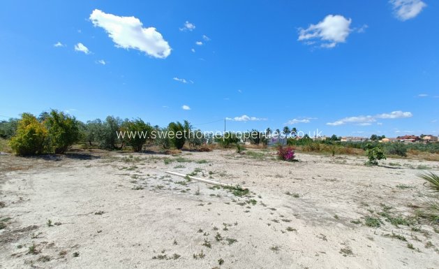 Reventa - Casa de campo - Abanilla