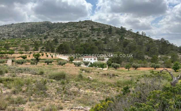 Resale - Plot - Hondon De Las Nieves - HONDON DE LAS NIEVES