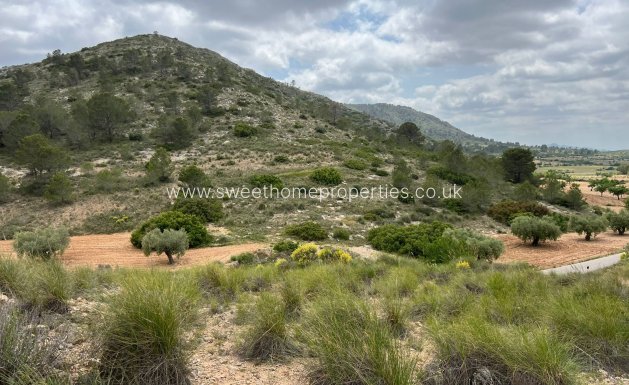 Resale - Plot - Hondon De Las Nieves - HONDON DE LAS NIEVES