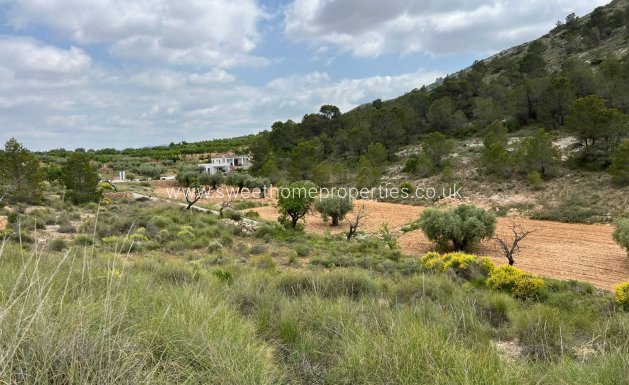 Resale - Plot - Hondon De Las Nieves - HONDON DE LAS NIEVES