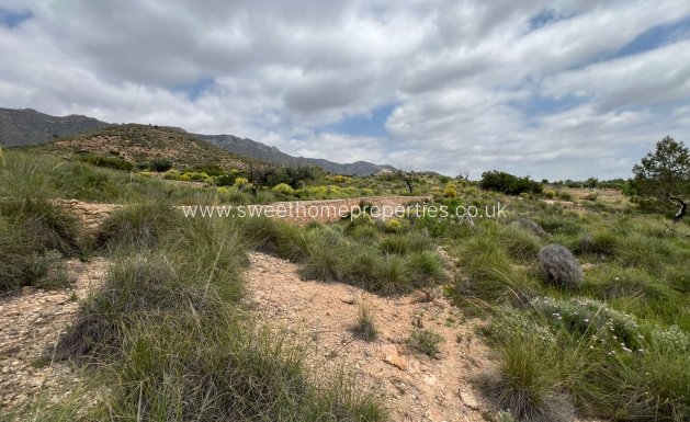 Resale - Plot - Hondon De Las Nieves - HONDON DE LAS NIEVES
