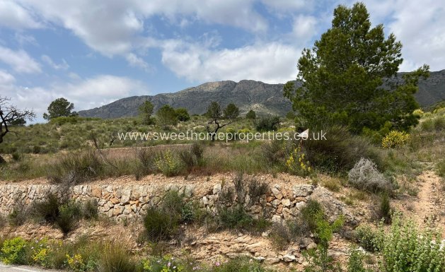 Resale - Plot - Hondon De Las Nieves - HONDON DE LAS NIEVES