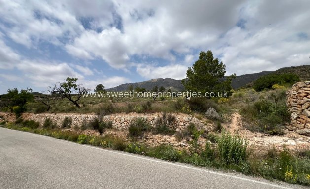 Resale - Plot - Hondon De Las Nieves - HONDON DE LAS NIEVES
