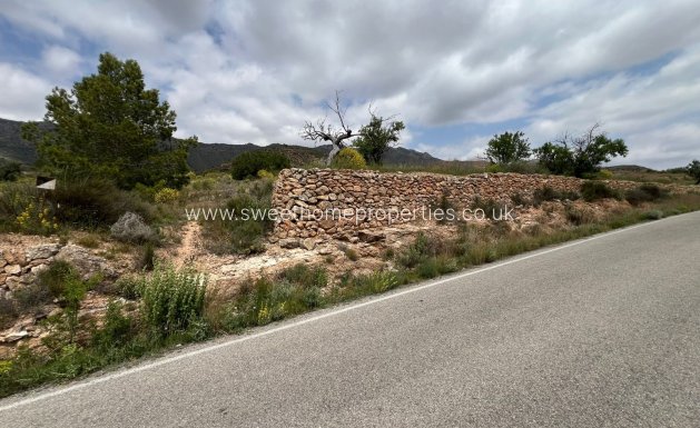 Resale - Plot - Hondon De Las Nieves - HONDON DE LAS NIEVES