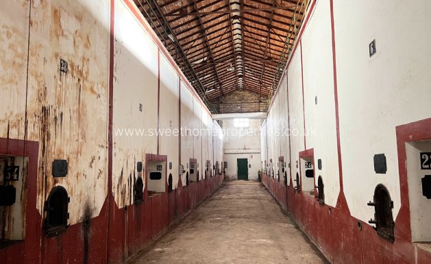 Reventa - Commercial - Hondon De Los Frailes