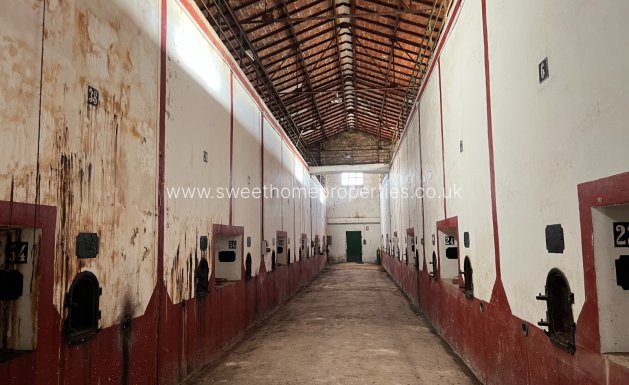 Reventa - Commercial - Hondon De Los Frailes
