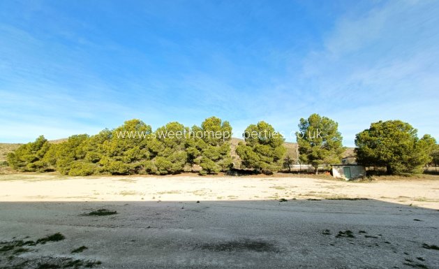 Reventa - Commercial - Hondon De Los Frailes