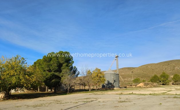 Reventa - Commercial - Hondon De Los Frailes