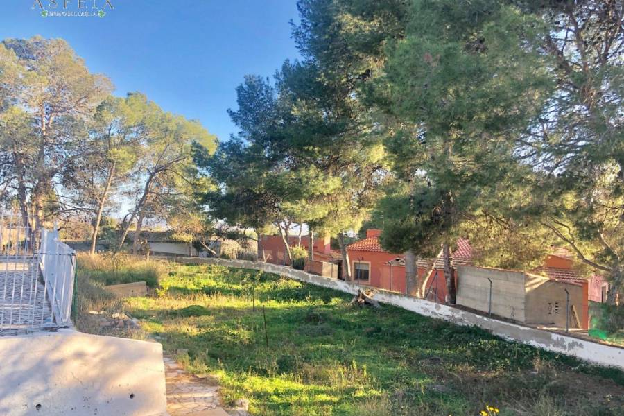 Re-sale - Villa - La Romana - ALCANÁ