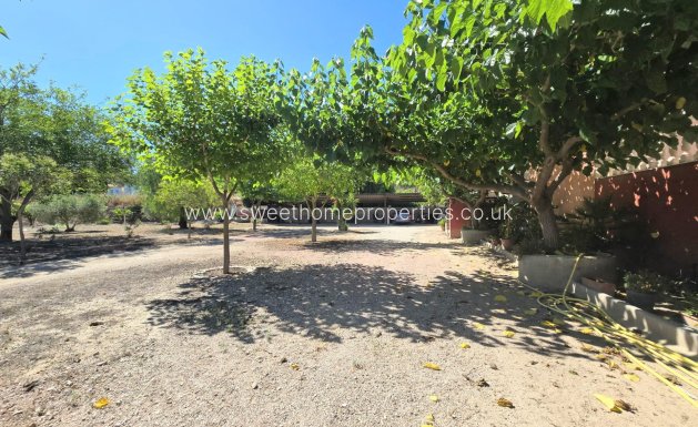 Resale - Country house - Aspe - Tolomo
