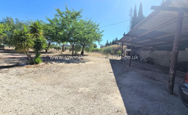 Resale - Country house - Aspe - Tolomo