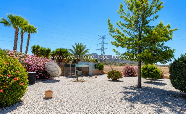 Reventa - Casa de campo - Macisvenda
