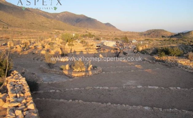 Resale - Cave house - Hondon De Las Nieves - canalosa