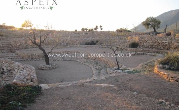Resale - Cave house - Hondon De Las Nieves - canalosa