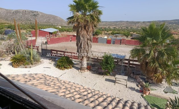 Reventa - wooden house - Orihuela - La Murada-Los Vicentes