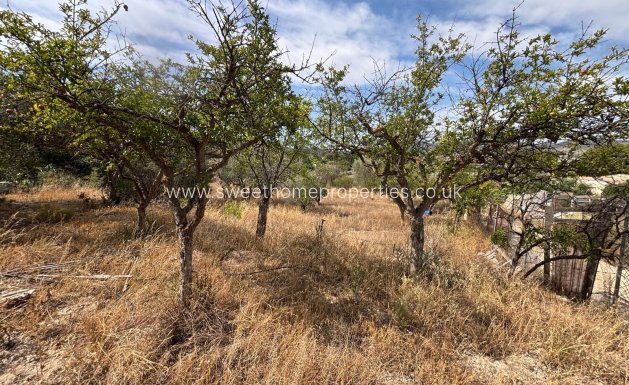 Resale - Town house - Monovar - PUEBLO