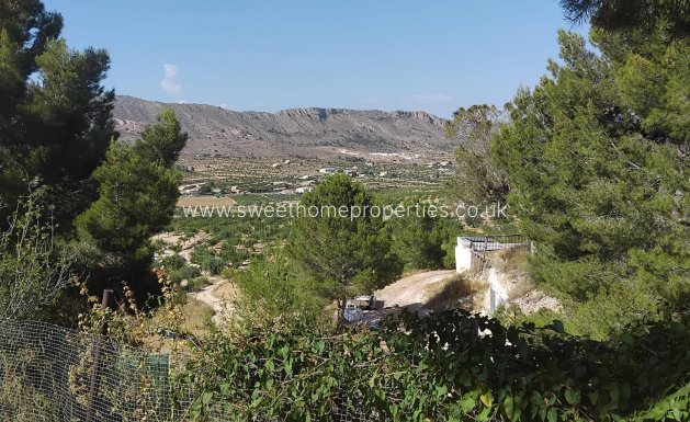 Reventa - Town house - La Romana - Comunidad valenciana