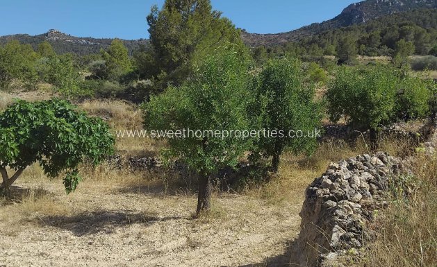 Reventa - Town house - La Romana - Comunidad valenciana