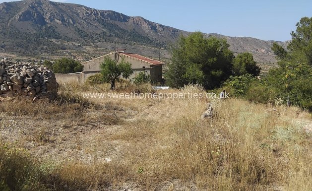 Reventa - Town house - La Romana - Comunidad valenciana
